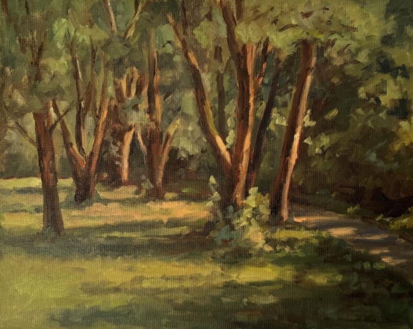 A group of sunlit willows near a pathway.